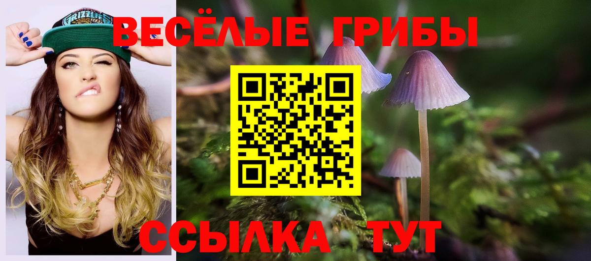 Лянтор  Псилоцибиновые грибы Psilocybe  Вход с VPN 